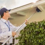 Pest Control in Lahore and Guide Pest Control Near Me