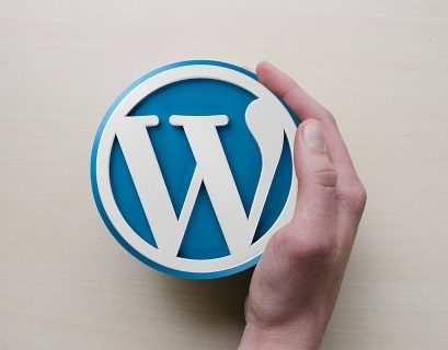 custom wordpress development services