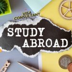 Study abroad visa consultant